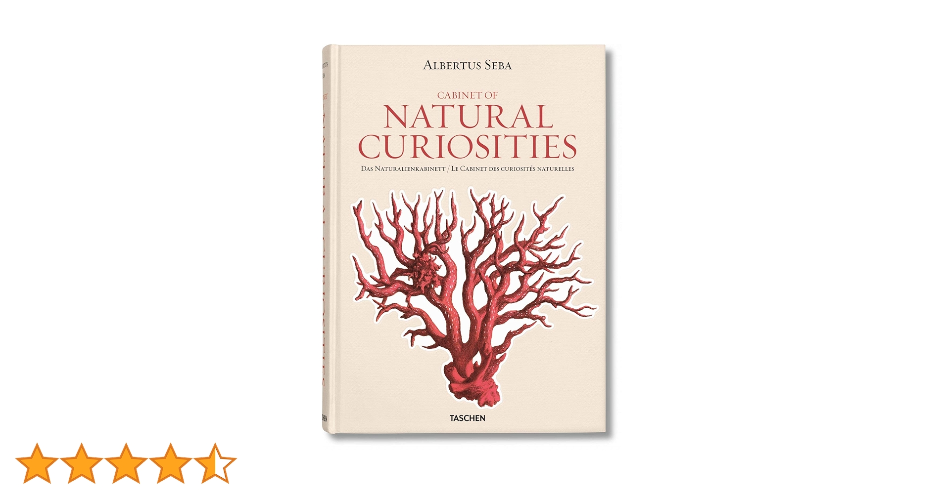 セバ著　Cabinet of Natural Curiosities25th Seba. Cabinet of Natural Curiosities: Müsch, Irmgard, Rust